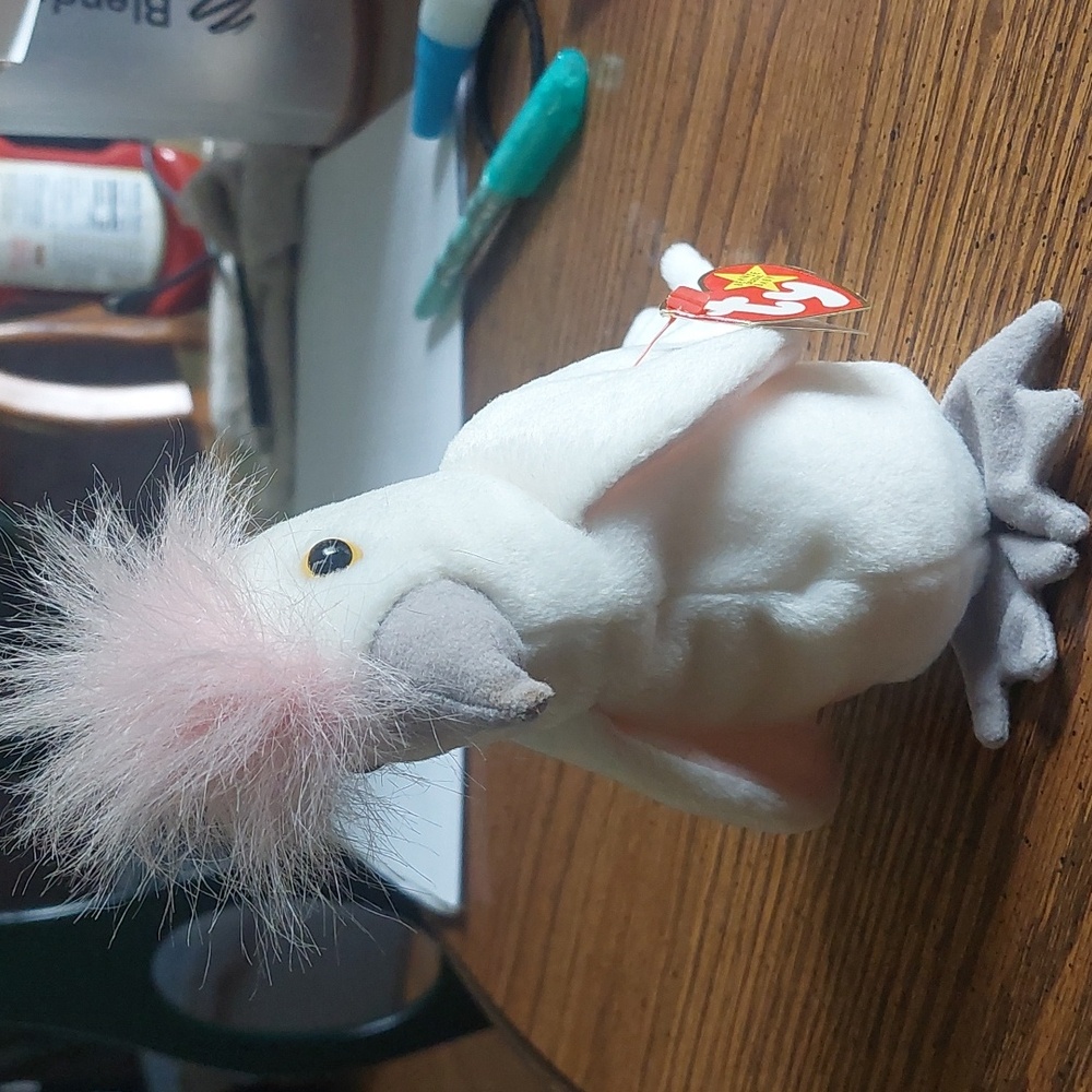 KuKu the parakeet
